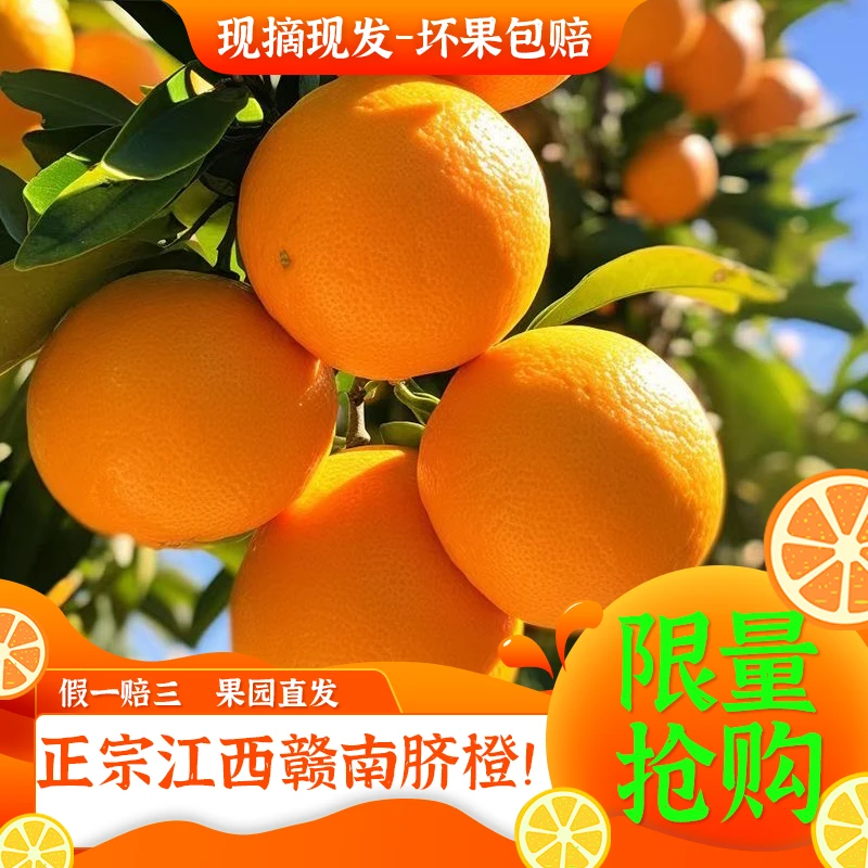 正宗赣南脐橙当季新鲜水果橙子现摘冰糖甜橙脐橙赣南江西赣南橙子
