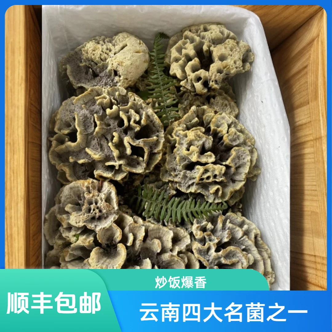 云南深山精选干巴菌 炒饭推荐鲜香味香自然采摘