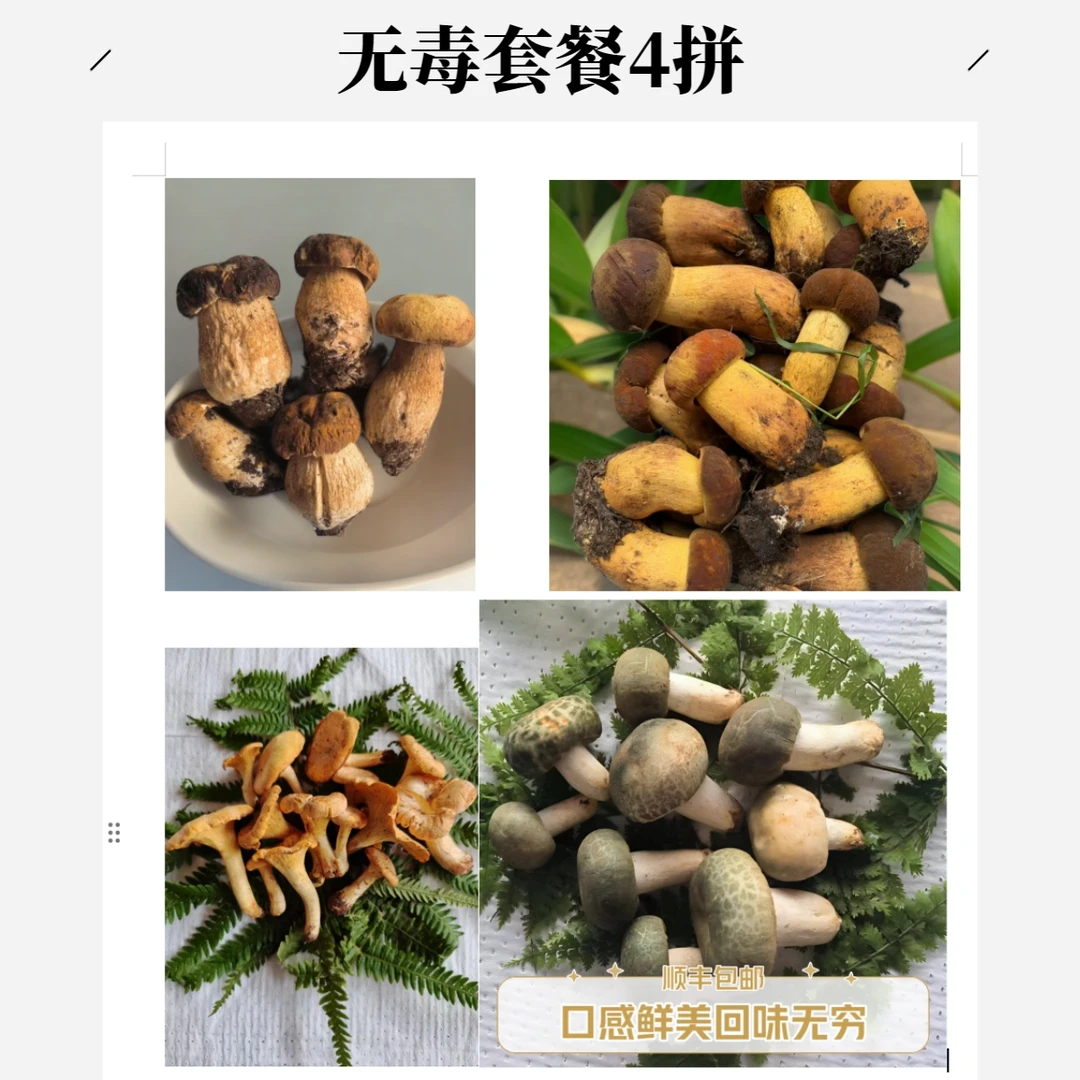 云南深山精选无毒野生菌4拼套餐，拍一得四空运自然山野采摘