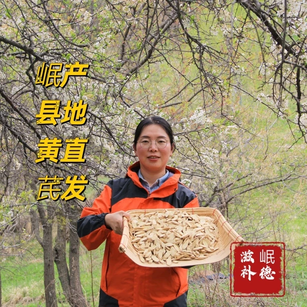 甘肃岷县精品黄芪（大片）产地直发、无熏无染、、原汁原味、