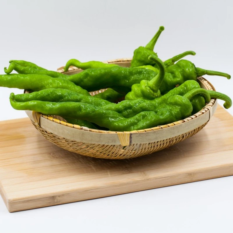 螺丝椒种籽子高产辣椒苗四季食用绿色蔬菜种子春季种植辣椒种子