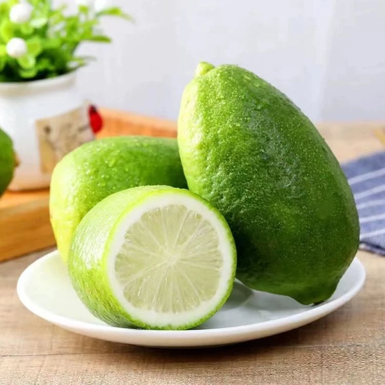 【新鲜】云南高原香水无籽新鲜青柠檬独立包装