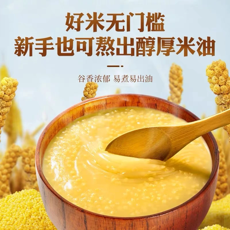 【2024年新小米】大金苗K1，蔚县贡米，质量等级一级小米 熬粥 色金黄 米油厚 10月15日脱粒