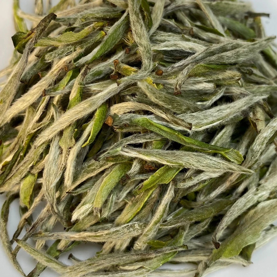 2024年二五区高山荒野炭焙首日芽|政和白茶|银针