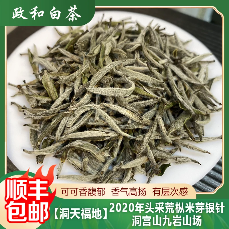 【洞天福地】2020年头采荒枞米芽银针白茶洞宫山九孔岩山场可可香