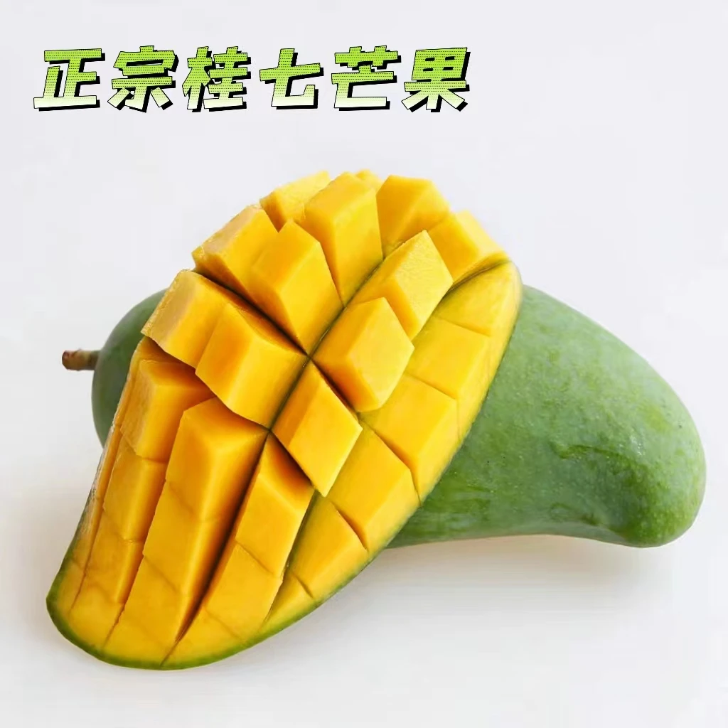 1广西百色桂七芒 5/9斤 多汁肉厚水果 催熟食用