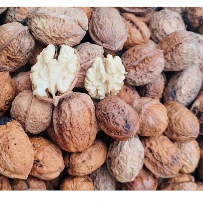 云南大理老树纸皮核桃