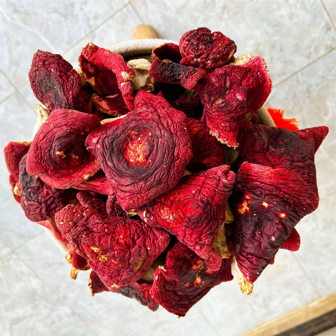 云南野生真正大红菇