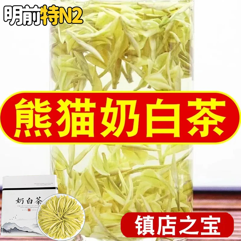 2025新茶【熊猫奶白茶】特二星奶白茶正品浓香型珍稀白茶礼盒装罐装