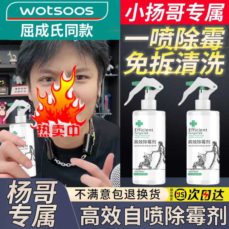 【小杨臻选】除霉剂家用墙纸墙体强效除霉发黄发霉斑霉点渗透清洁剂