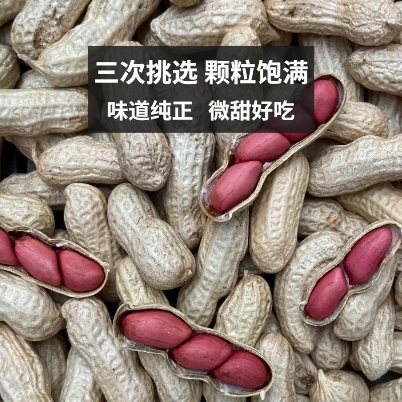 东北四粒红2025农家自种红皮花生带壳四粒红新货花生