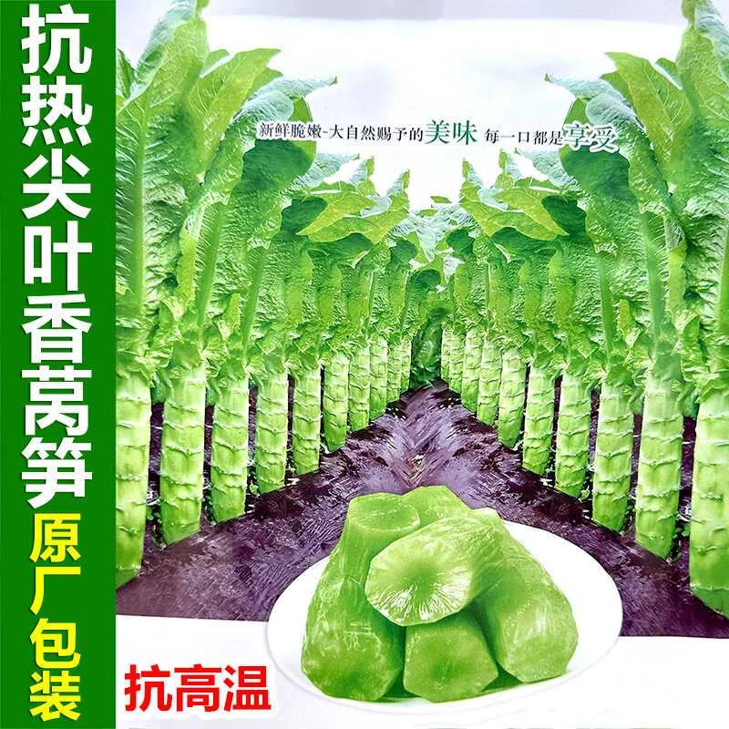 早熟尖叶莴笋种子四季高产耐热耐高温青皮绿肉莴苣种子蔬菜种孑籽
