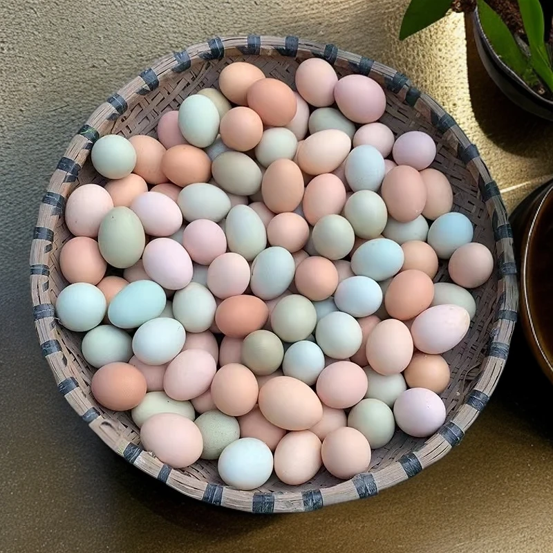 土鸡蛋农家散养40枚正宗新鲜健康美味野外散养
