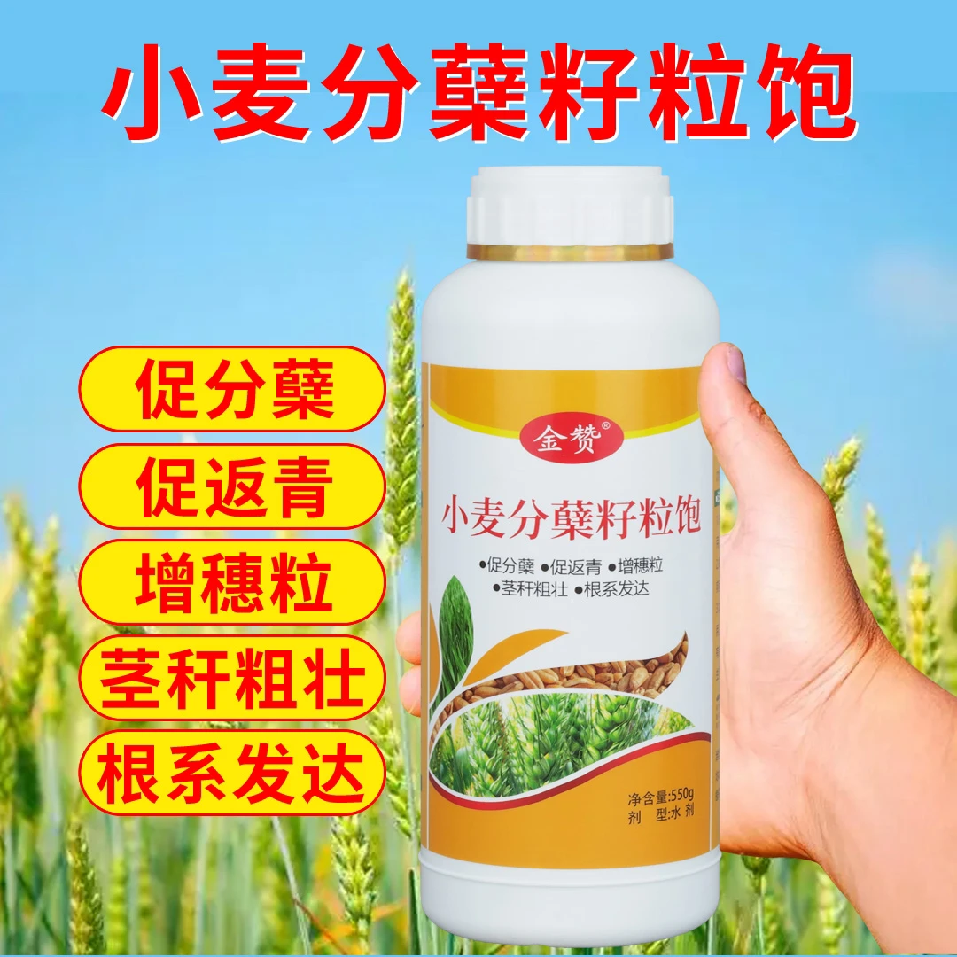 【丰赞优品】小麦分蘖籽粒饱促进分蘖茎杆粗壮籽粒饱满水溶肥