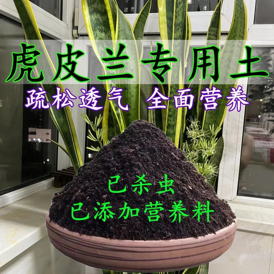 虎皮兰专用土虎尾兰专用营养土盆栽养花种花土通用种植土有机肥料