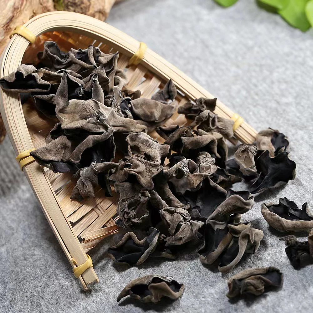 【山木耳】野生毛木耳