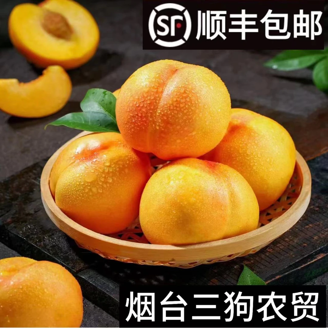 顺丰包邮烟台新鲜黄油桃 现摘现发当季水果脆甜多汁 三狗农贸