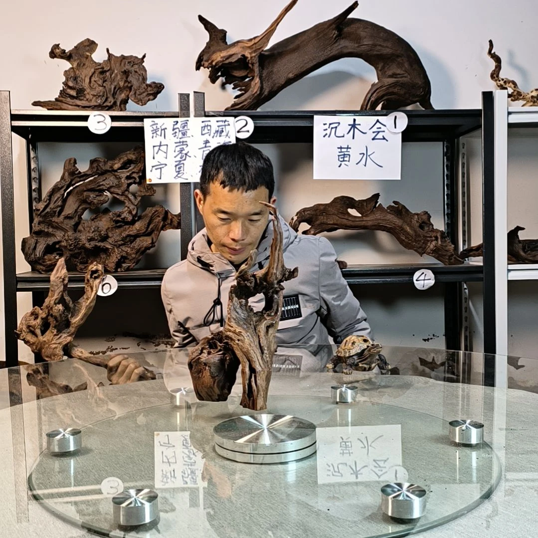 【闪购商品】C13向**生