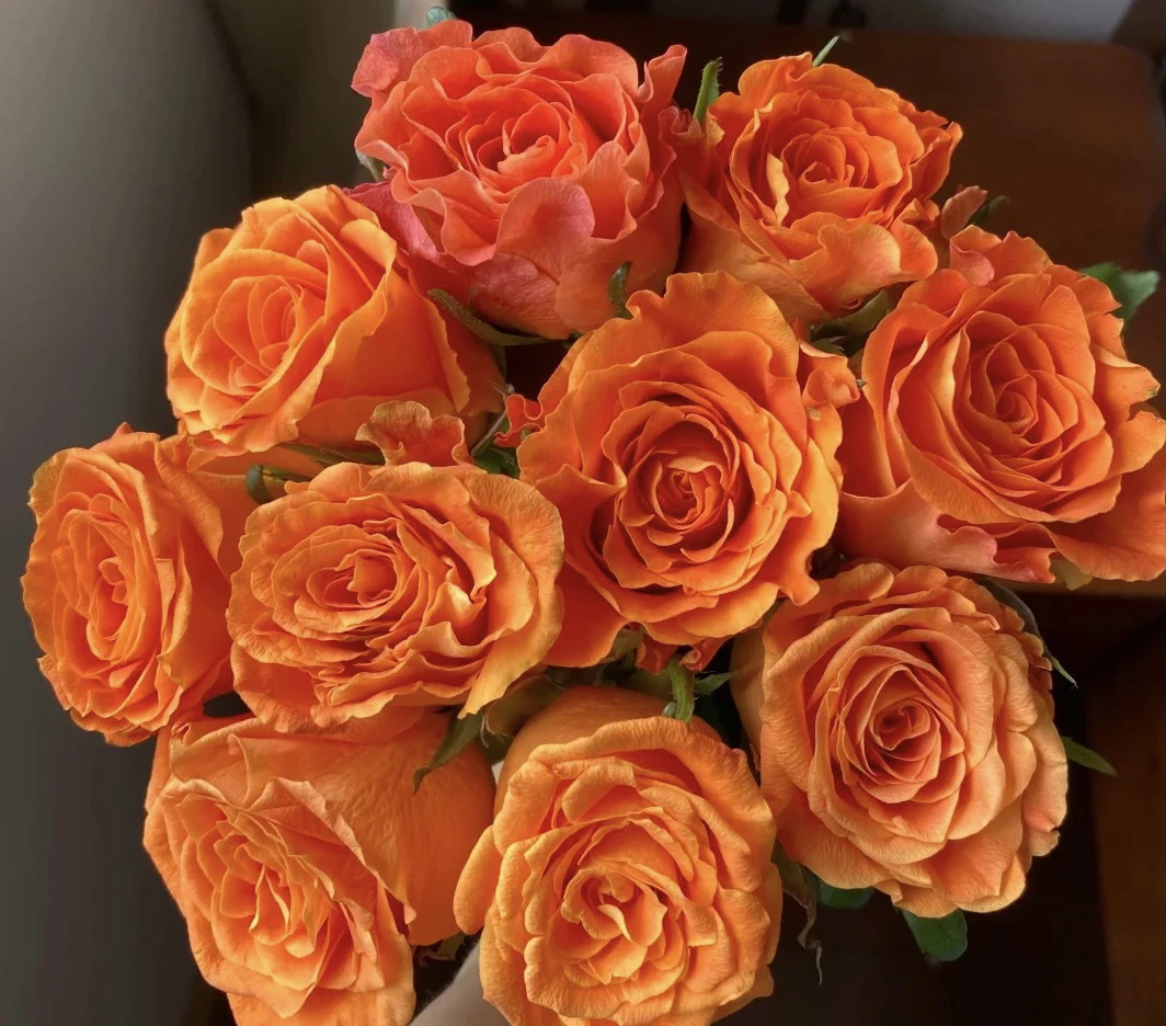 【巨蟹座】花农直发，全场任意两单顺丰冷链包邮，0度以下必拍保温棉！