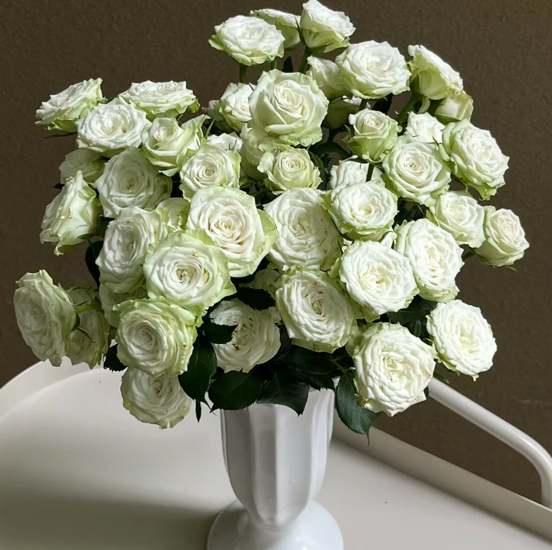 【10枝繁星泡泡】全场任意两单顺丰冷链包邮，0度以下必拍保温棉！