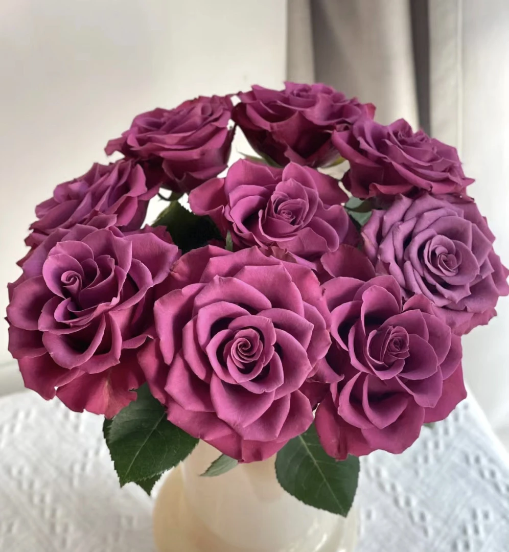 【单头蓝莓】花农直发，全场任意两单顺丰包邮，0度以下必拍保温棉！