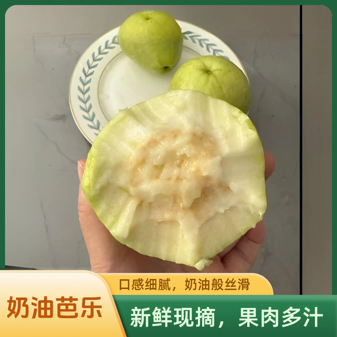 广西特产当季新鲜水果奶油芭乐软白心红心软糯香番石榴鸡屎果芭乐