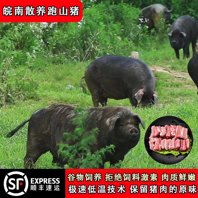 【土猪纯肋排】皖南地区农家散养土猪肋排土猪肉生鲜猪排骨