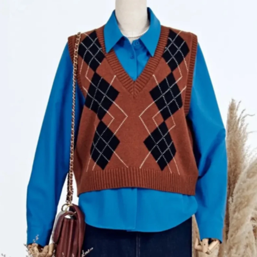 俪妍【LIVELY·YAN】24秋冬新款马甲70217百搭时尚拼色