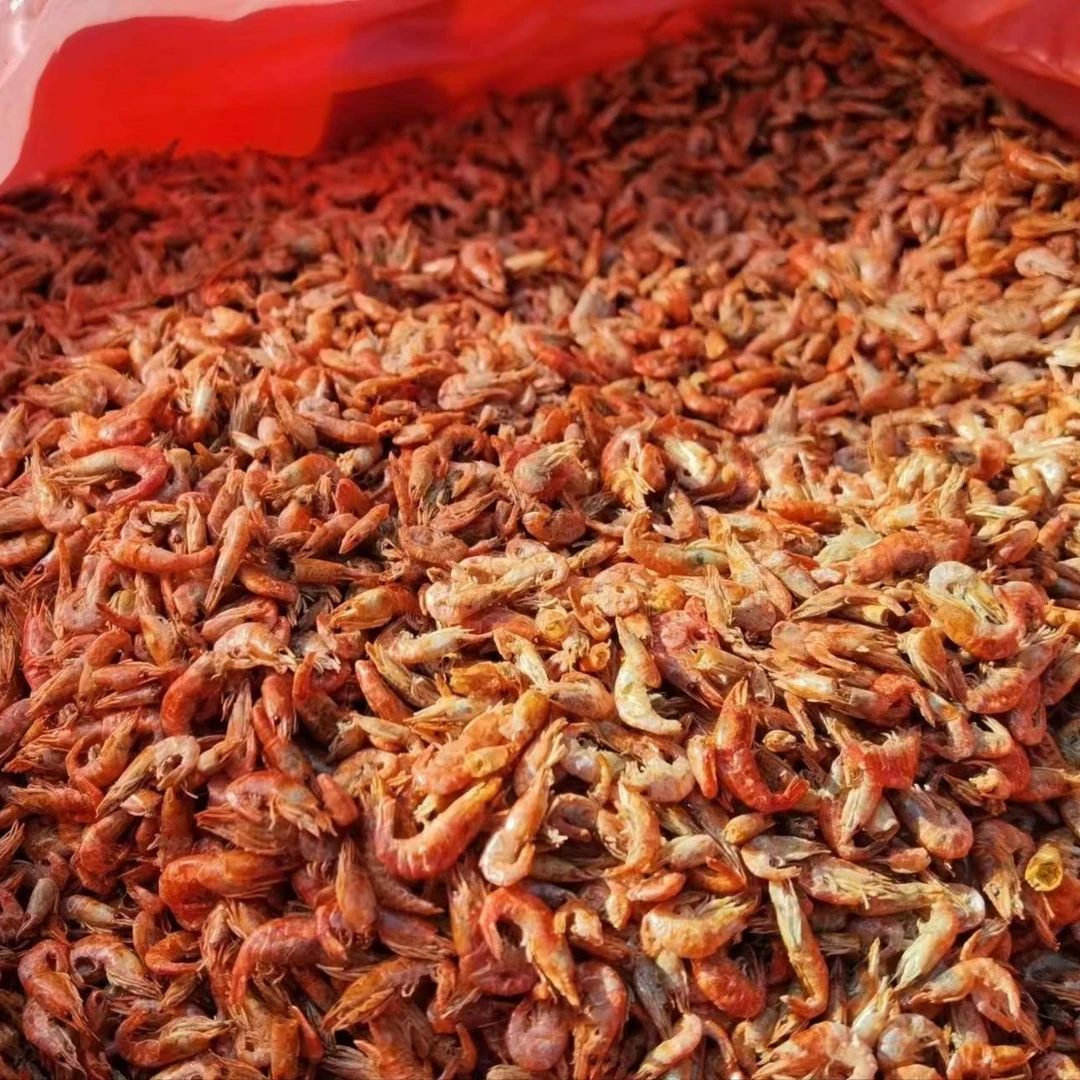 娄娄家乡野生小虾米