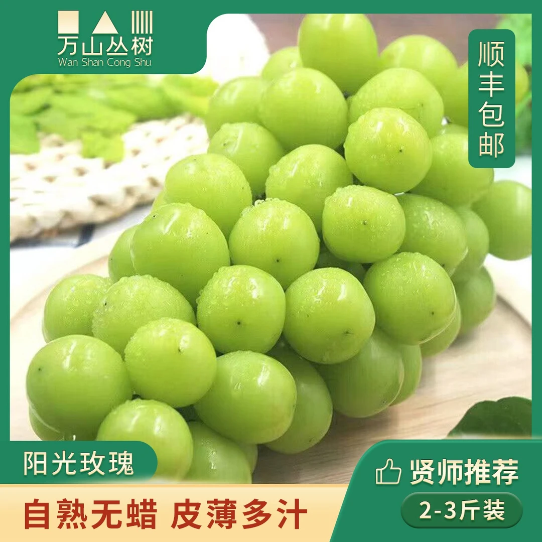 【顺丰包邮】阳光玫瑰葡萄 产地直发 2斤3斤装 晴王葡萄