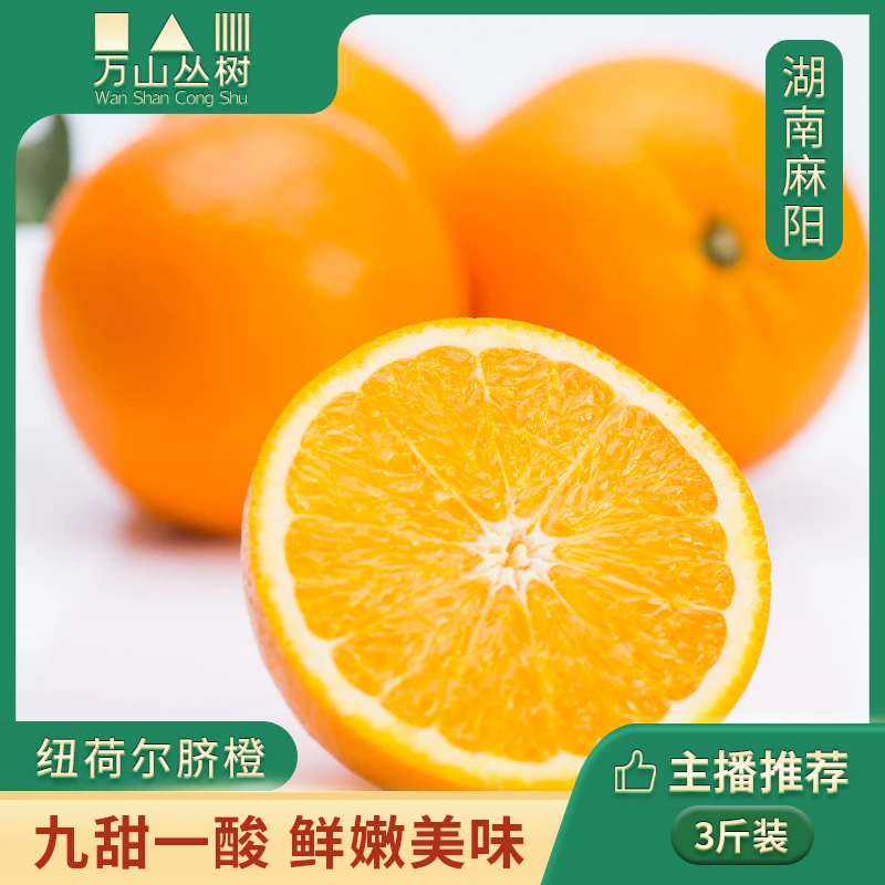 万山丛树纽荷尔脐橙新鲜采摘九甜一酸当季时令水果生3斤65-75中果