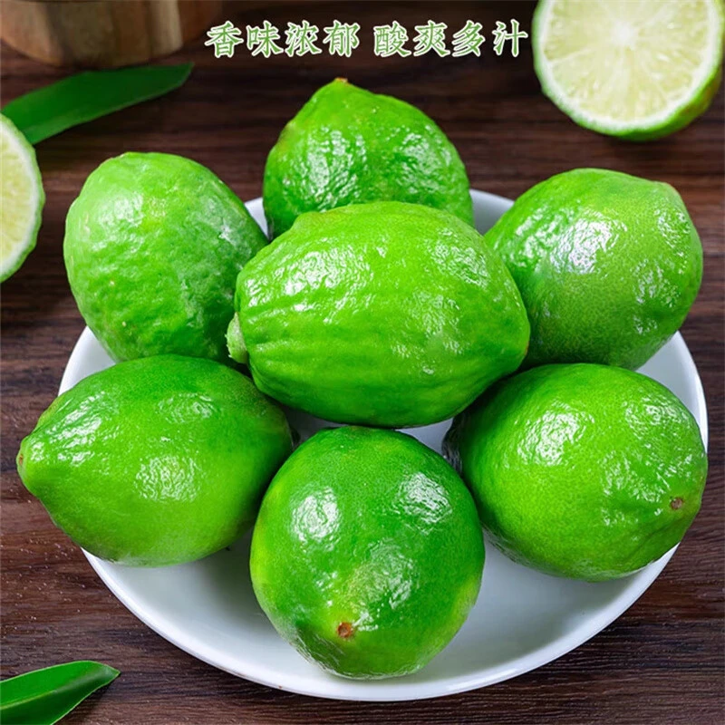 新鲜香水柠檬 现摘无籽青柠檬鲜果奶茶店水果 薄皮厚皮 3斤/5斤装