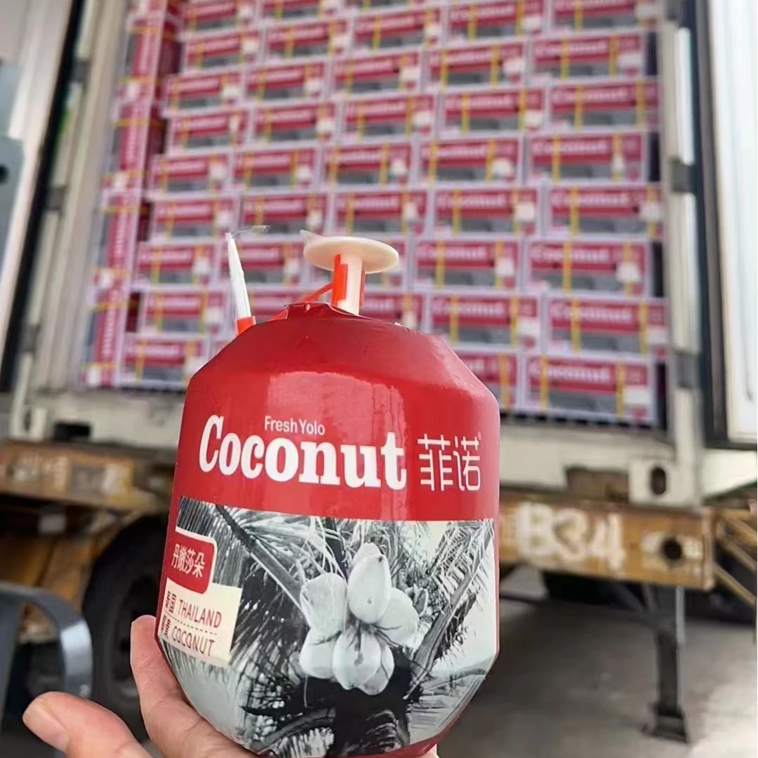 菲诺易开椰泰国椰青新鲜到货原箱香水椰9个