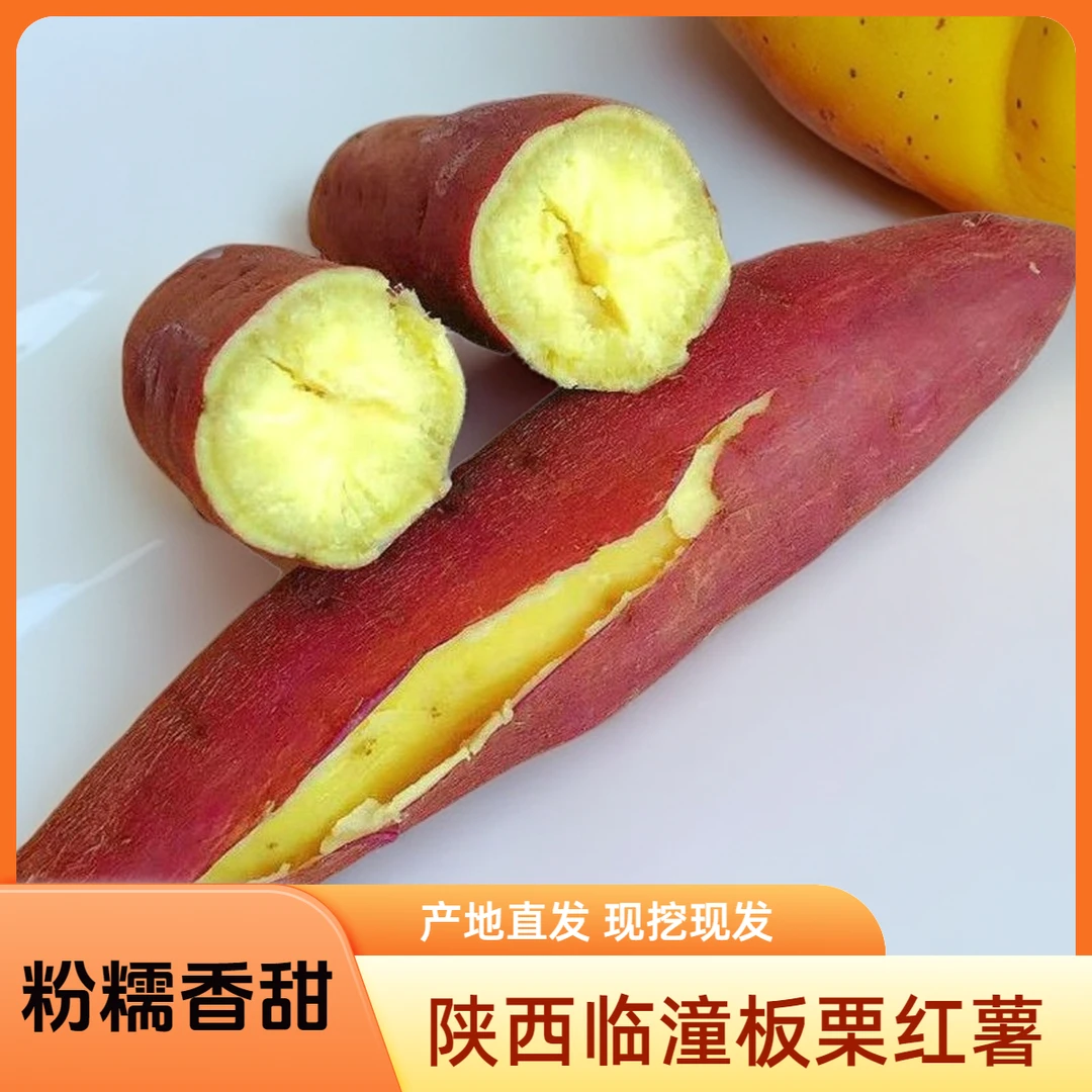 临潼板栗红薯新鲜陕西沙地板栗红薯黄白心粉糯香甜面番薯地瓜包邮