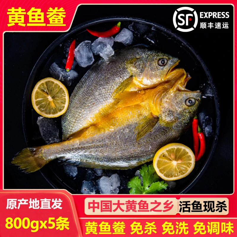 大规格【800gX3条/5条】霞浦黄鱼鲞 新鲜冷冻咸香黄花鱼 免洗免调味