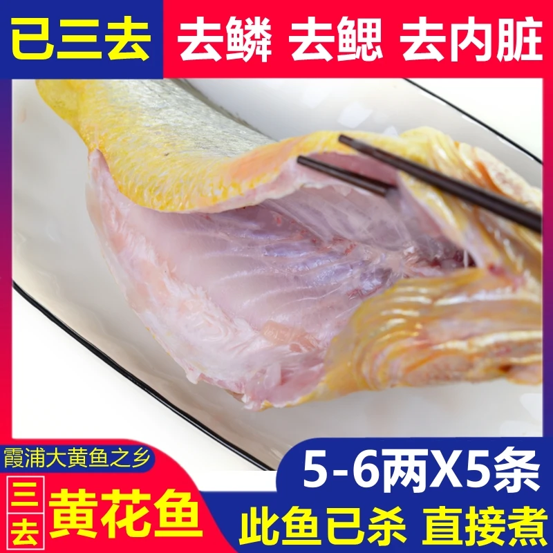 【已三去5-6两X5条】去鳞 去鳃 去内脏 霞浦黄花鱼新鲜冷冻 大黄鱼