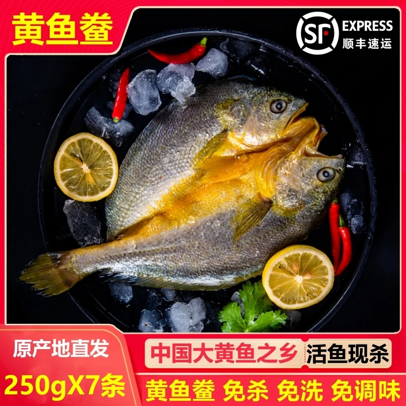 【250gX5+2到手7条】宁德霞浦黄鱼鲞 黄花鱼咸香大黄鱼新鲜免杀免洗