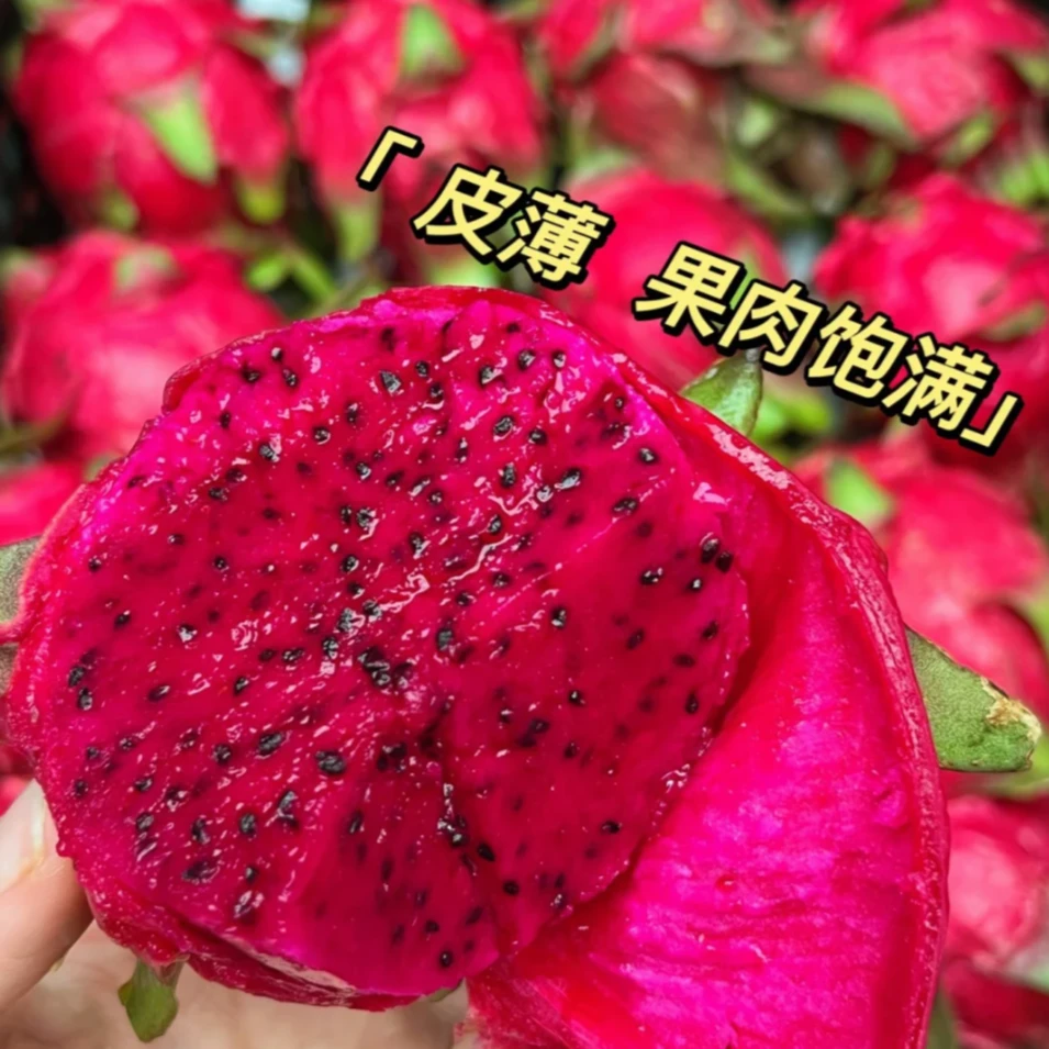 【蜜宝火龙果】9.9到手4个 这种果子就是皮皱 叶子枯 不好看 但很甜好吃