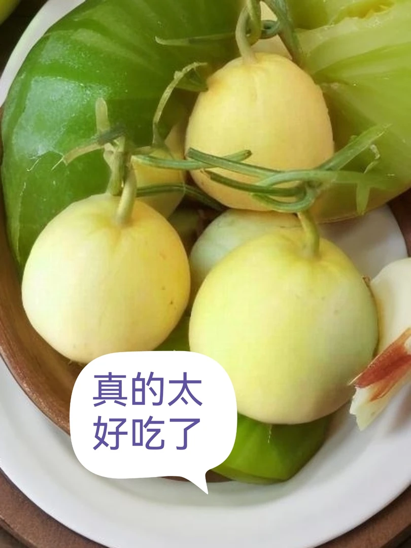 云南头茬糖心蜜罐香瓜小蜜蜂甜瓜香甜脆产地现摘现发个别网纹