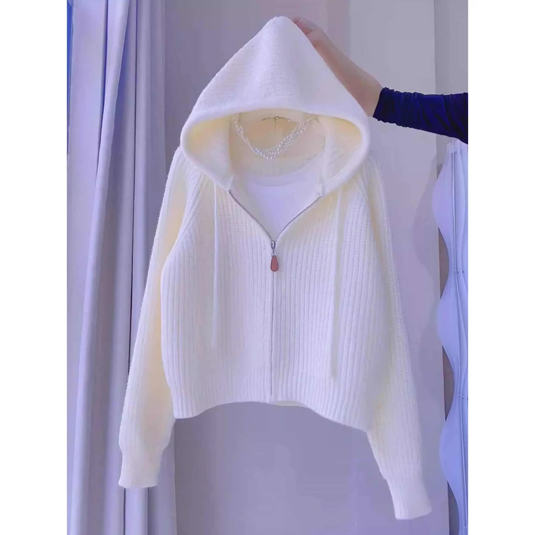 2025秋冬季新款小众别致宽松慵懒风小个子连帽卫衣针织开衫上衣女