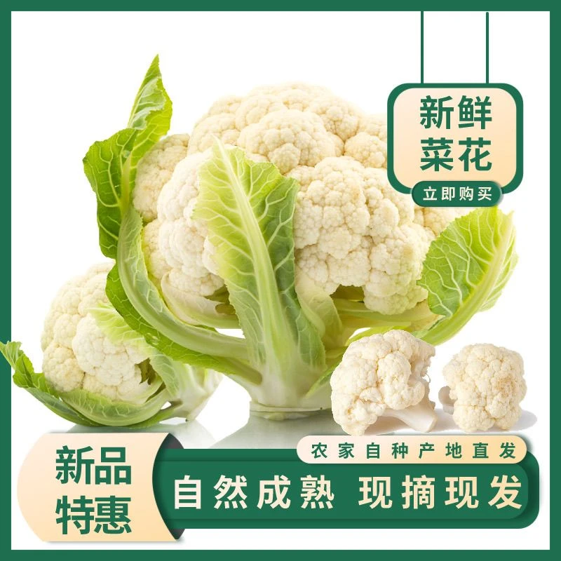 贵州高原农户露天栽种新鲜采摘现摘现发菜花菜2斤/4斤