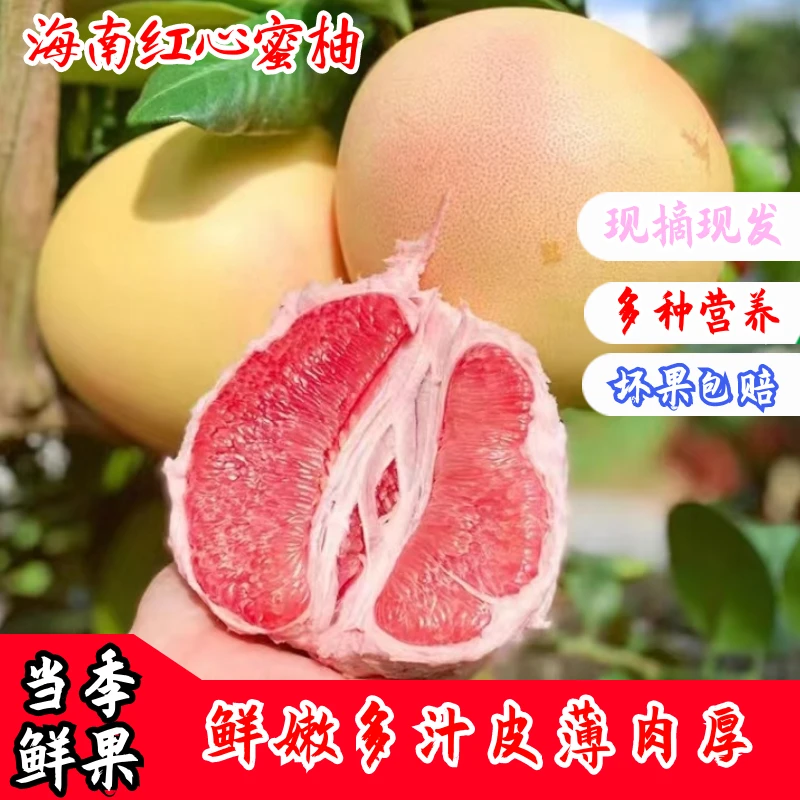 【现货】海南红心蜜柚新鲜采摘皮薄鲜甜多汁4-8.5斤装坏果包赔HY6