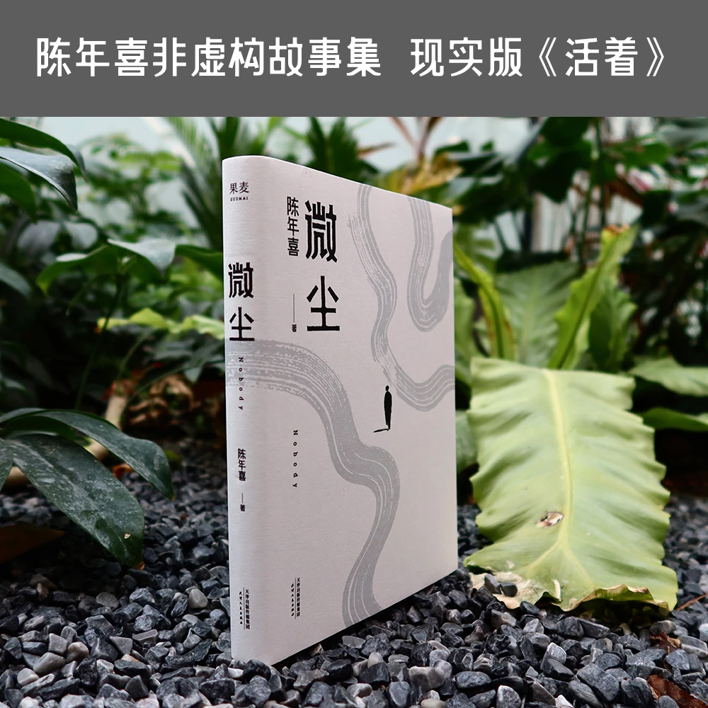 【果麦】微尘*1册 陈年喜