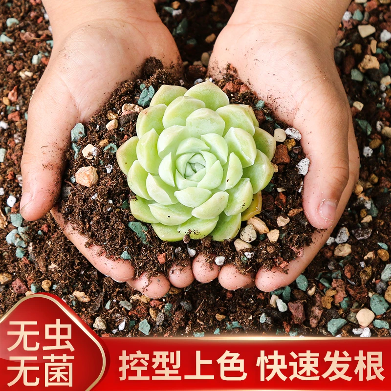 多肉专用配方颗粒营养土肉肉植物盆栽防烂根种植土铺面通用型扦插