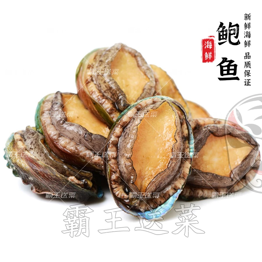 【8头鲍鱼】鲜活鲍鱼 2个