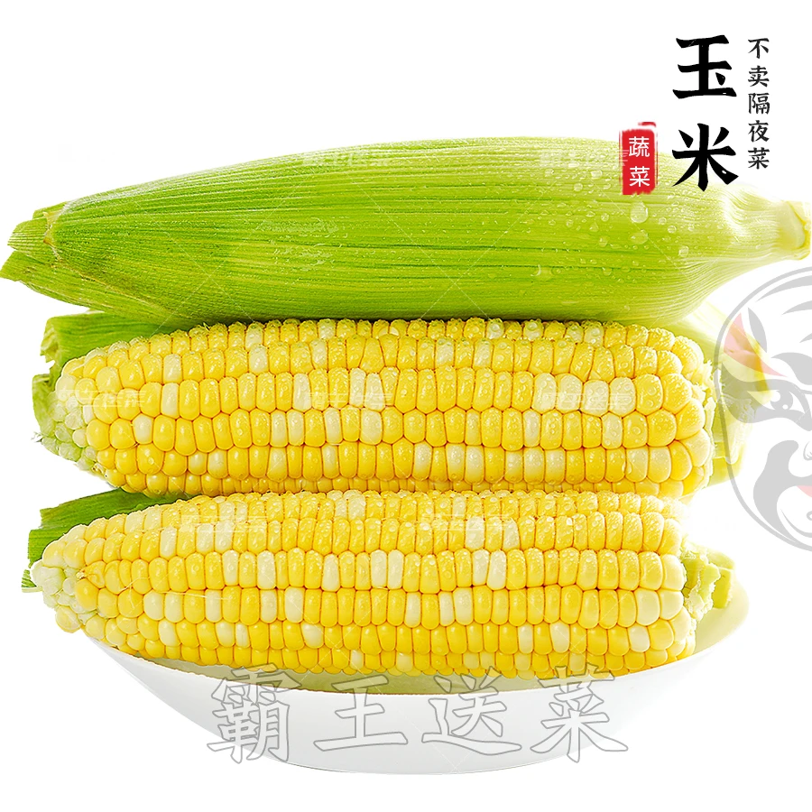 水果玉米/甜玉米 500g（约2-3个）