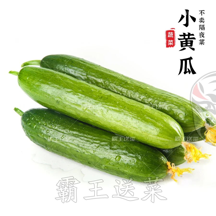 水果黄瓜/小黄瓜 约400g黄瓜同城送黄瓜同城配