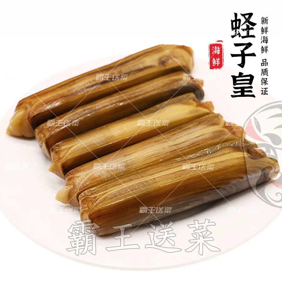 【鲜活】cheng蛏子蝗 500g