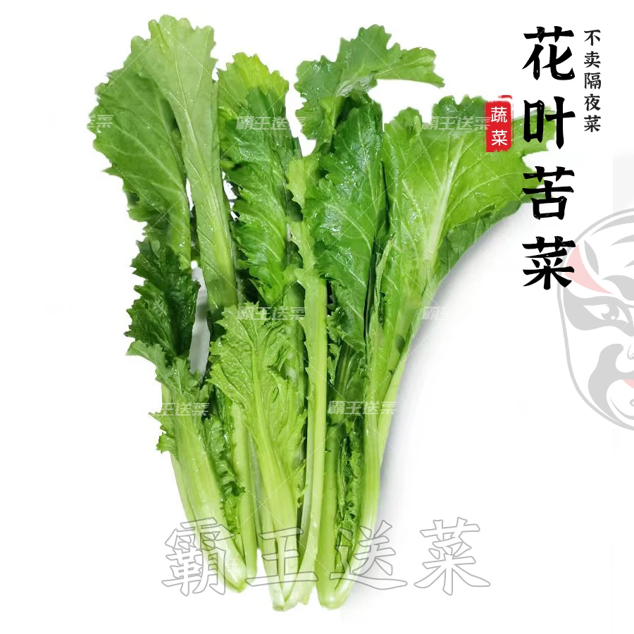 花叶苦菜 300g