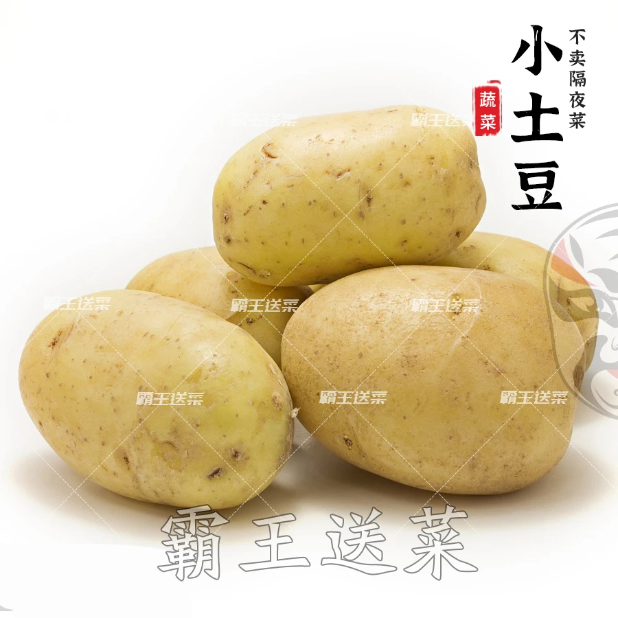 【东川基地直供】新鲜洋芋/土豆 1000g